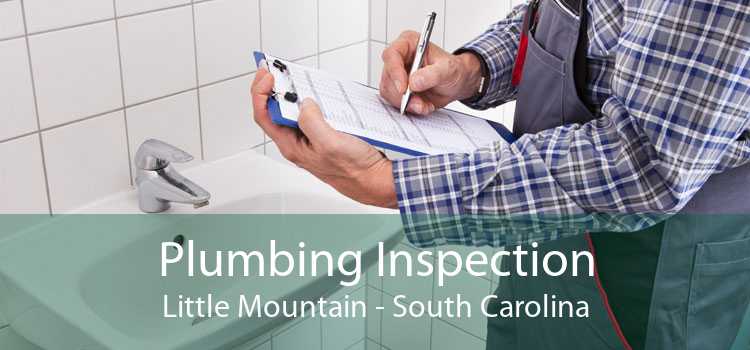 Plumbing Inspection Little Mountain - South Carolina