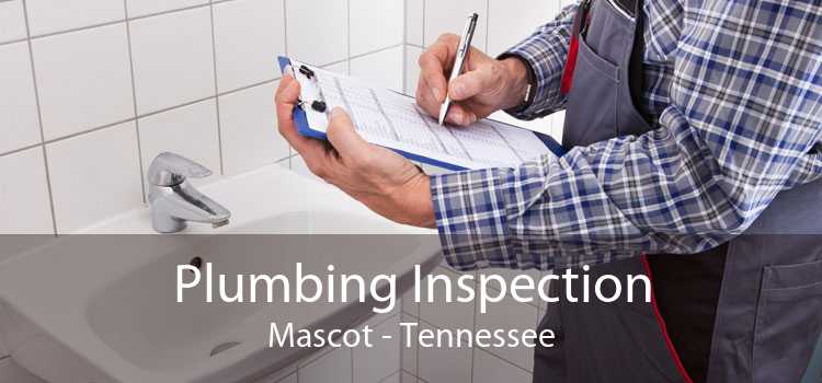 Plumbing Inspection Mascot - Tennessee