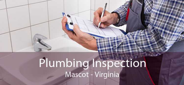 Plumbing Inspection Mascot - Virginia