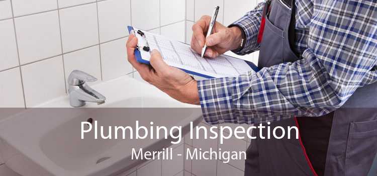 Plumbing Inspection Merrill - Michigan