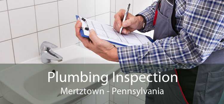 Plumbing Inspection Mertztown - Pennsylvania