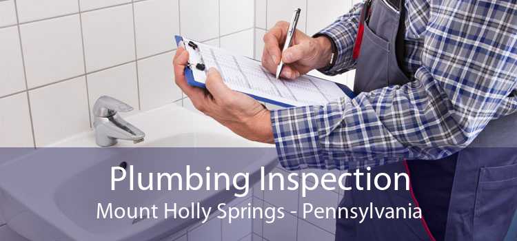 Plumbing Inspection Mount Holly Springs - Pennsylvania