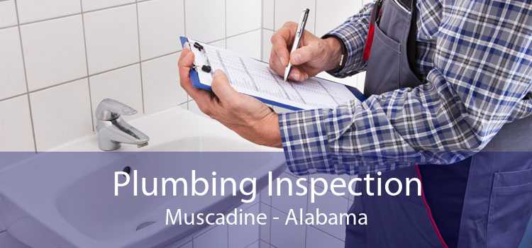 Plumbing Inspection Muscadine - Alabama