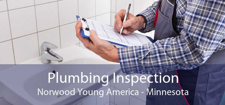 Plumbing Inspection Norwood Young America - Minnesota