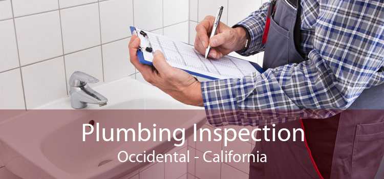 Plumbing Inspection Occidental - California