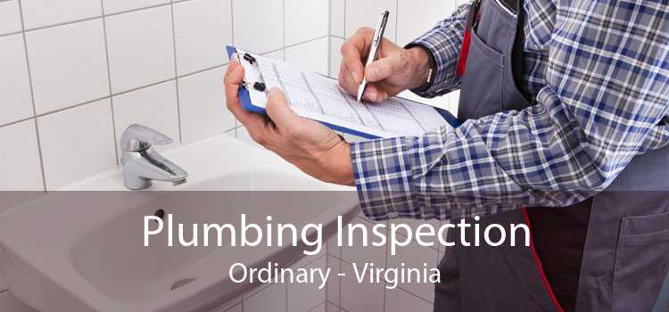 Plumbing Inspection Ordinary - Virginia