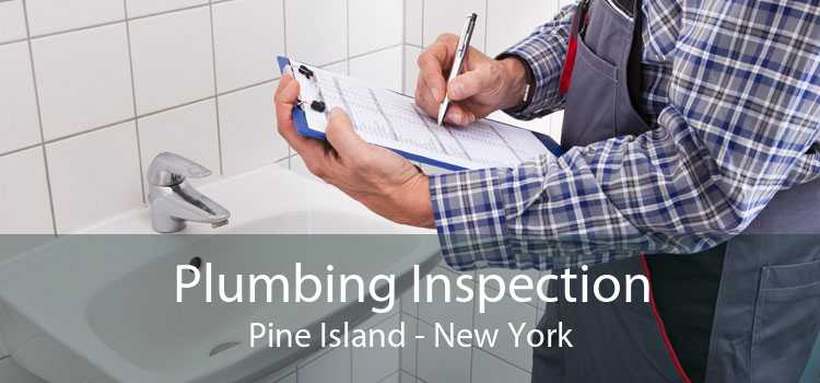 Plumbing Inspection Pine Island - New York