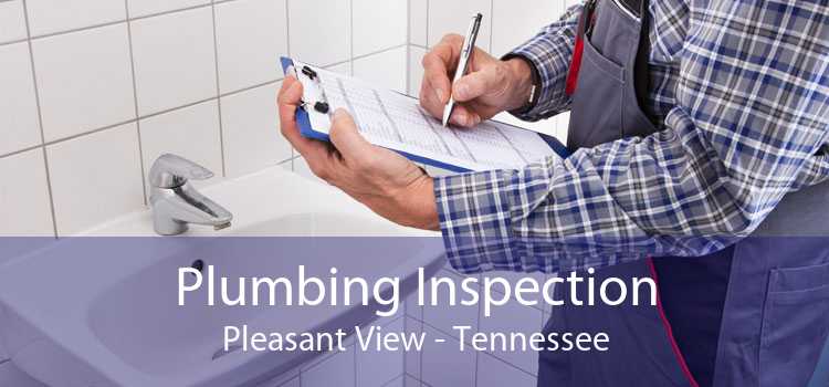 Plumbing Inspection Pleasant View - Tennessee