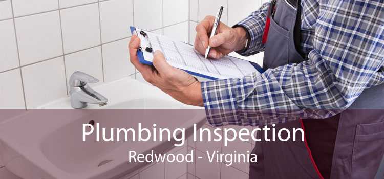Plumbing Inspection Redwood - Virginia
