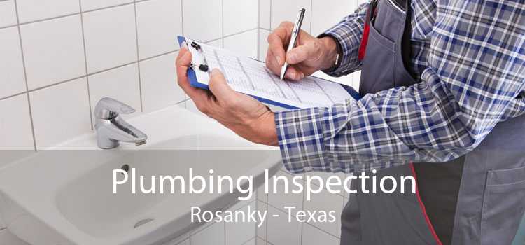 Plumbing Inspection Rosanky - Texas