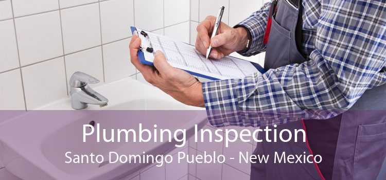 Plumbing Inspection Santo Domingo Pueblo - New Mexico