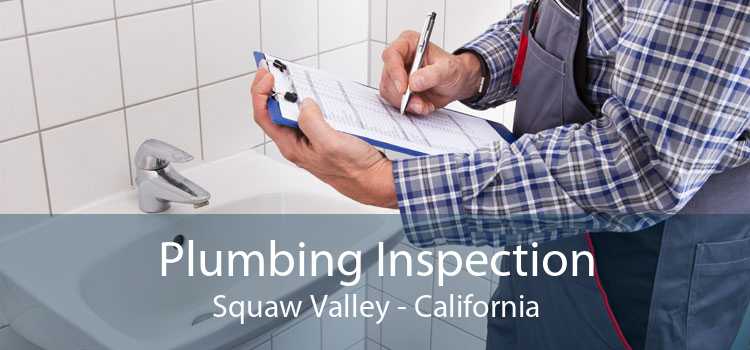 Plumbing Inspection Squaw Valley - California