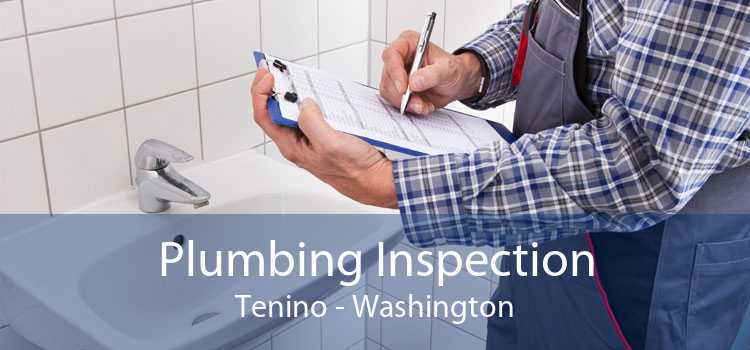 Plumbing Inspection Tenino - Washington