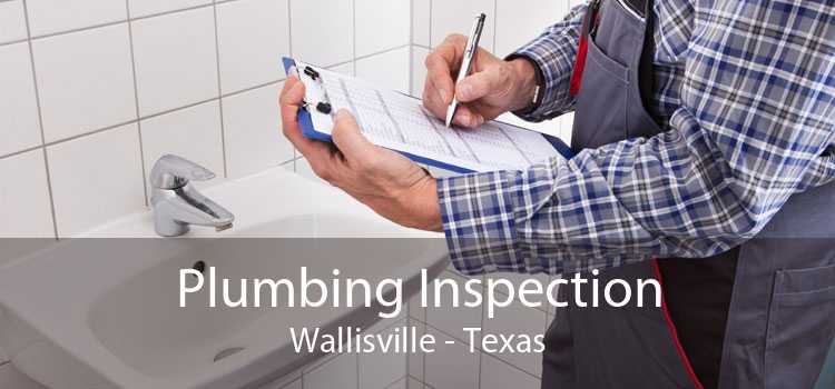 Plumbing Inspection Wallisville - Texas