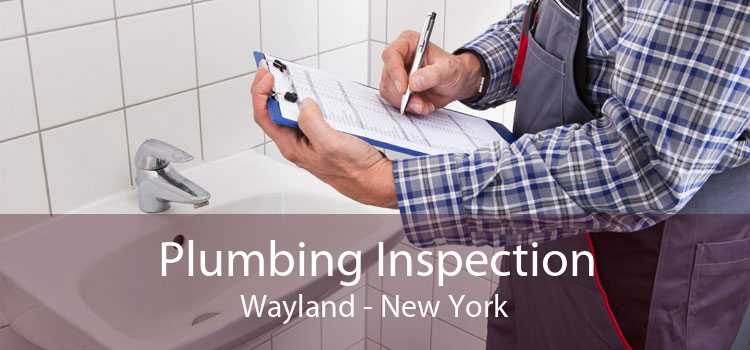 Plumbing Inspection Wayland - New York
