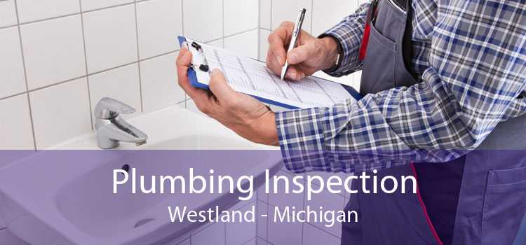 Plumbing Inspection Westland - Michigan