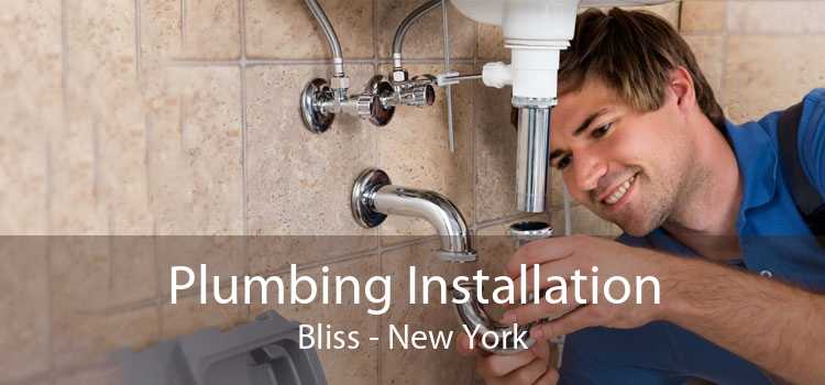 Plumbing Installation Bliss - New York
