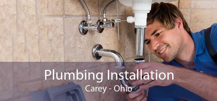 Plumbing Installation Carey - Ohio