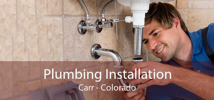 Plumbing Installation Carr - Colorado