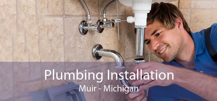 Plumbing Installation Muir - Michigan
