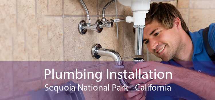 Plumbing Installation Sequoia National Park - California