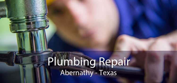 Plumbing Repair Abernathy - Texas