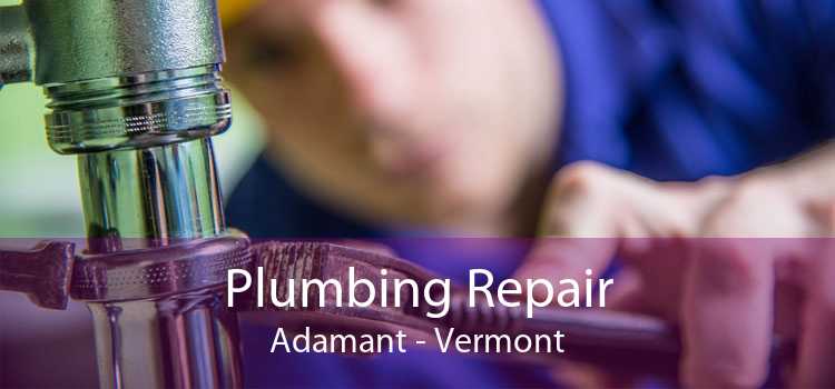 Plumbing Repair Adamant - Vermont