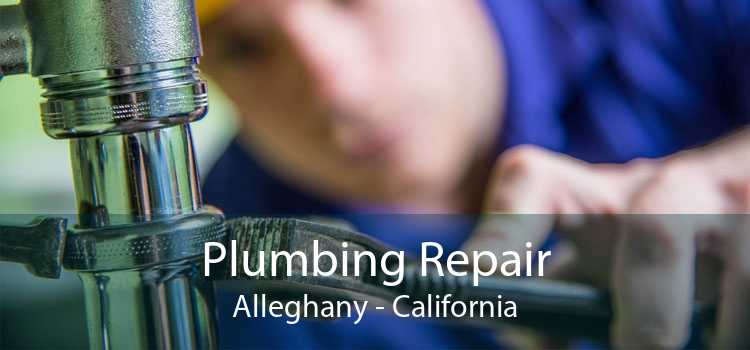 Plumbing Repair Alleghany - California