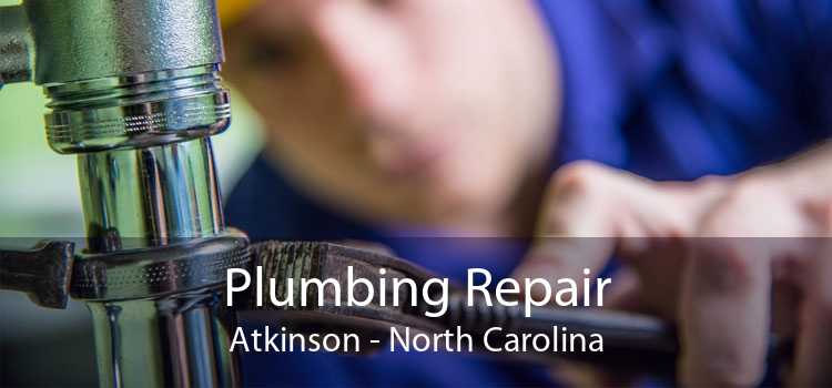 Plumbing Repair Atkinson - North Carolina