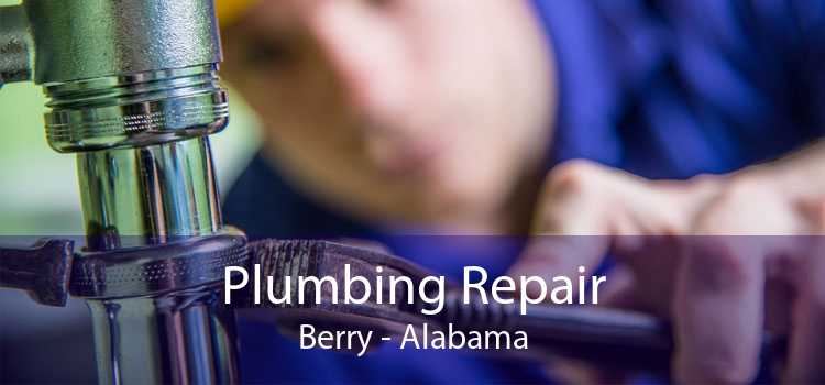Plumbing Repair Berry - Alabama