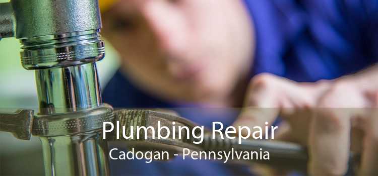 Plumbing Repair Cadogan - Pennsylvania