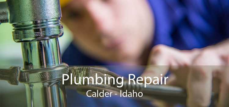 Plumbing Repair Calder - Idaho
