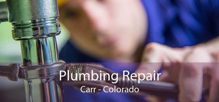 Plumbing Repair Carr - Colorado