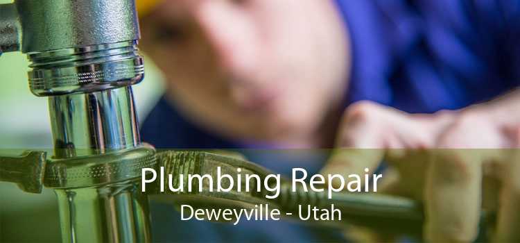 Plumbing Repair Deweyville - Utah