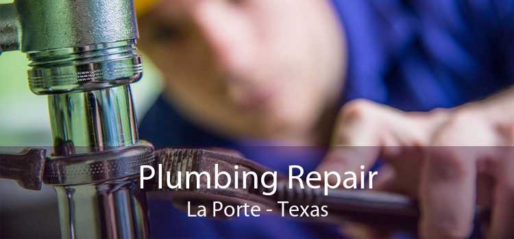 Plumbing Repair La Porte - Texas