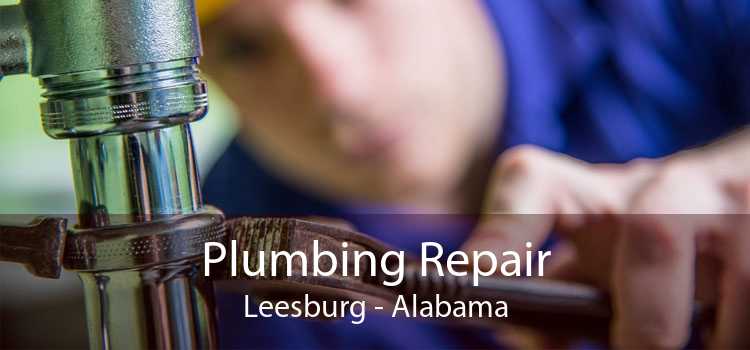 Plumbing Repair Leesburg - Alabama