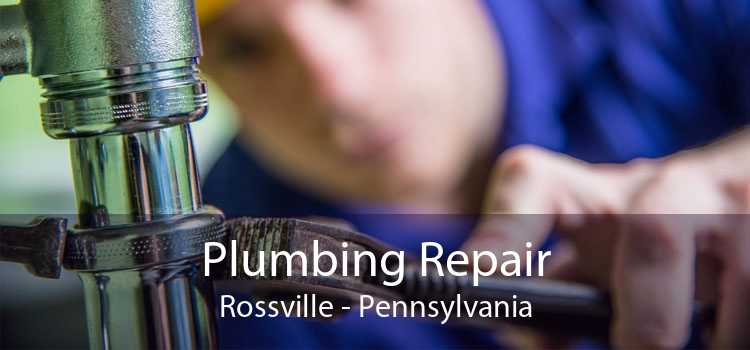 Plumbing Repair Rossville - Pennsylvania