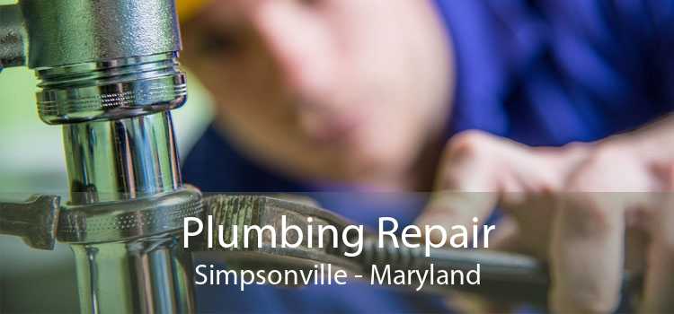 Plumbing Repair Simpsonville - Maryland