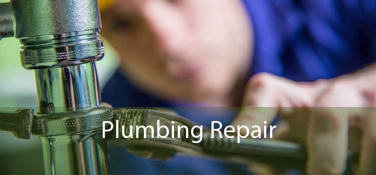 Plumbing Repair 