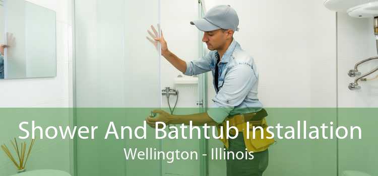 Shower And Bathtub Installation Wellington - Illinois