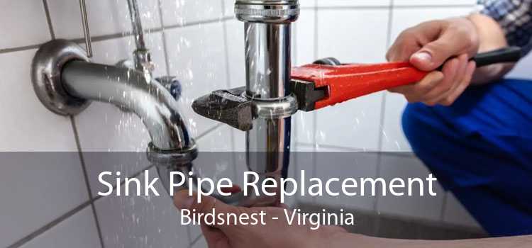 Sink Pipe Replacement Birdsnest - Virginia