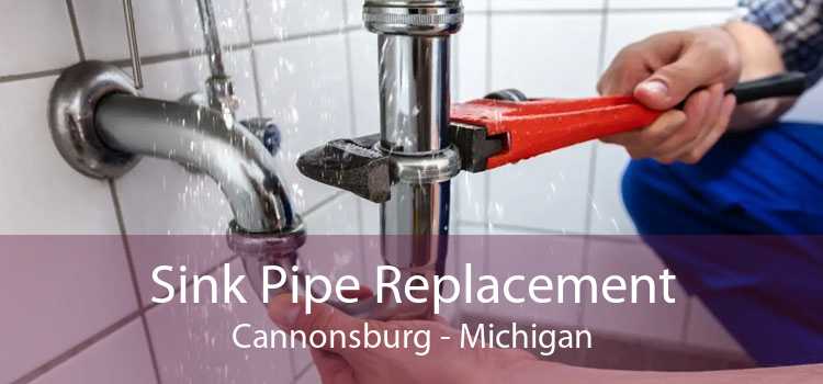 Sink Pipe Replacement Cannonsburg - Michigan