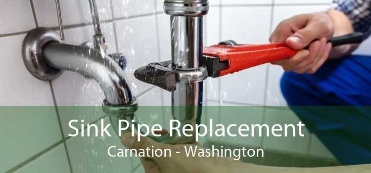 Sink Pipe Replacement Carnation - Washington