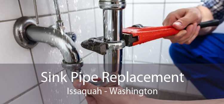 Sink Pipe Replacement Issaquah - Washington