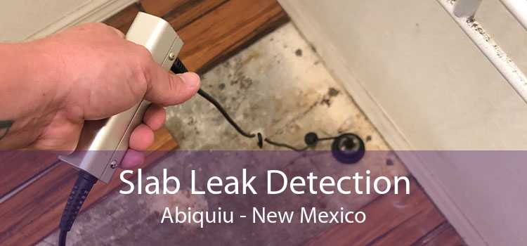 Slab Leak Detection Abiquiu - New Mexico