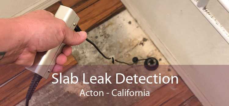 Slab Leak Detection Acton - California