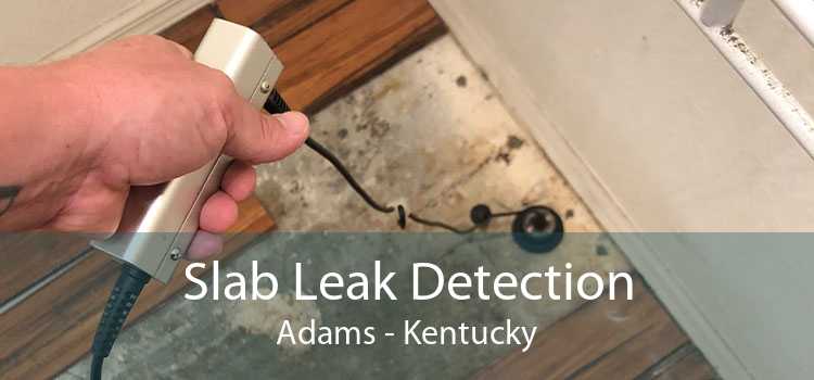 Slab Leak Detection Adams - Kentucky