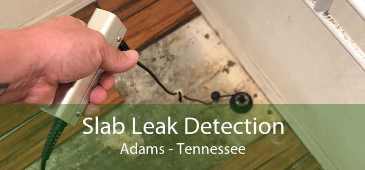 Slab Leak Detection Adams - Tennessee