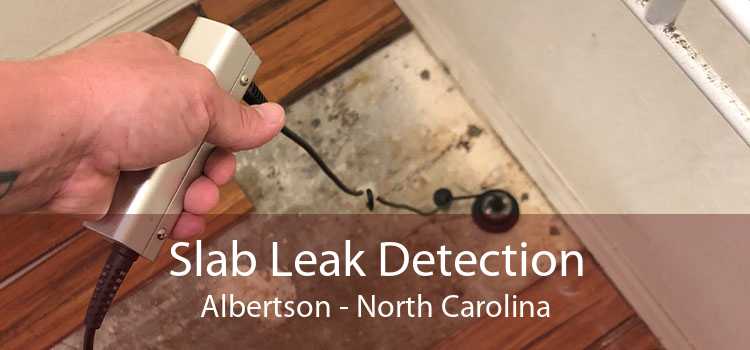 Slab Leak Detection Albertson - North Carolina