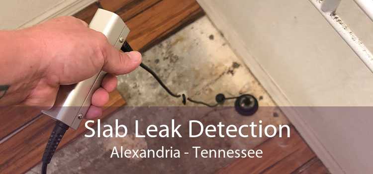 Slab Leak Detection Alexandria - Tennessee